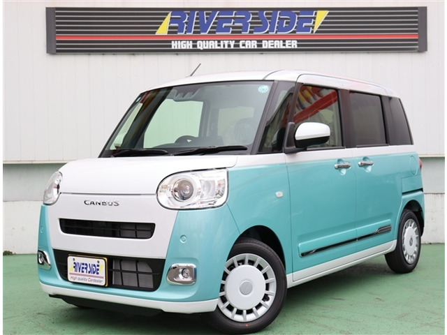 ムーヴキャンバスストライプス G