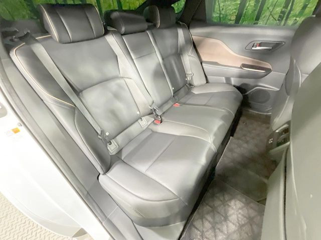 �㕔���Ȃ��C�ɂȂ�悤�ȃL�Y�E�����ւ��蓙�A�傫�ȃ_���[�W�͂Ȃ��A�ǍD�ȏ�Ԃł��B