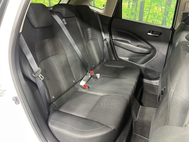 �㕔���Ȃ��C�ɂȂ�悤�ȃL�Y�E�����ւ��蓙�A�傫�ȃ_���[�W�͂Ȃ��A�ǍD�ȏ�Ԃł��B