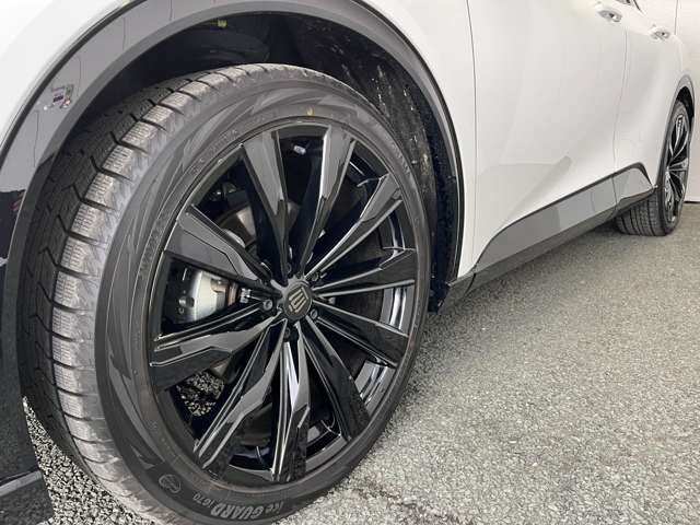 ���k���[���ɂ̓L�b�Y���[�������p�ӂ��Ă���܂��􂨎q�l�A��ł��������Ƃ��Ԃ����I�т��������܂�!