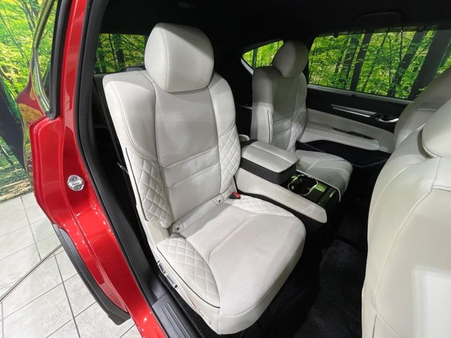 �㕔���Ȃ��C�ɂȂ�悤�ȃL�Y�E�����ւ��蓙�A�傫�ȃ_���[�W�͂Ȃ��A�ǍD�ȏ�Ԃł��B