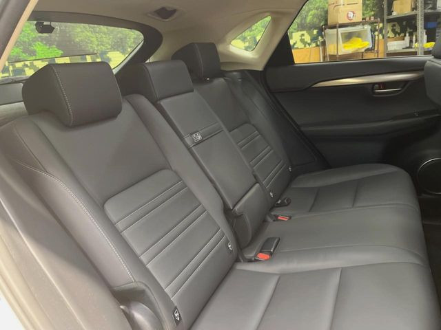 �㕔���Ȃ��C�ɂȂ�悤�ȃL�Y�E�����ւ��蓙�A�傫�ȃ_���[�W�͂Ȃ��A�ǍD�ȏ�Ԃł��B