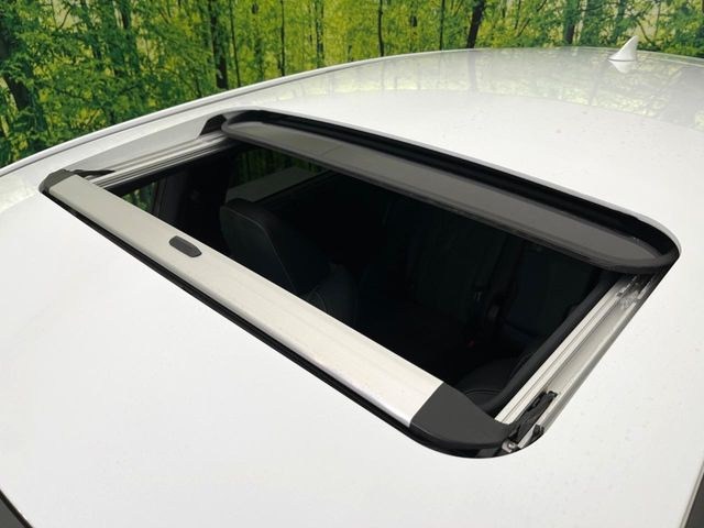 �y�T�����[�t�z�J���������Ղ�̊󏭑����A�T�����[�t����������Ă��܂�!�ԓ��ɖ�����������ꂽ��i�F���y���ވȊO�ɂ��A�ԓ��̋�C���ȒP�Ɋ��C�ł��ĉ��K�ł�!