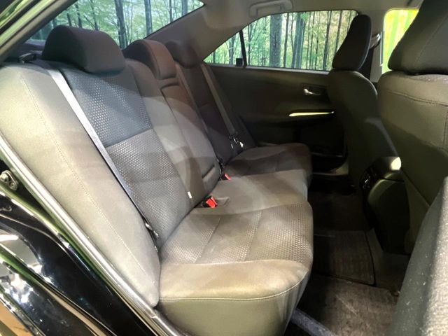 �㕔���Ȃ��C�ɂȂ�悤�ȃL�Y�E�����ւ��蓙�A�傫�ȃ_���[�W�͂Ȃ��A�ǍD�ȏ�Ԃł��B