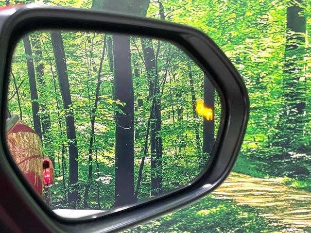 �y�u���C���h�X�|�b�g���j�^�[�z���s���A�h�A�~���[�̎��p�ɂȂ�₷���ӏ��Ɍ㑱�Ԃ��ڋ߂���ƃT�C�h�~���[�̃����Y�Ɍx����\��!�h���C�o�[�ɒ��ӊ��N�����Ă���܂��B