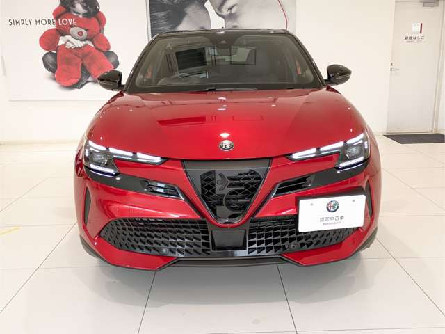 ジュニアエレットリカ プレミアム