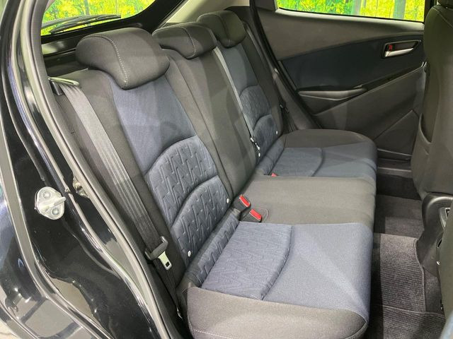 �㕔���Ȃ��C�ɂȂ�悤�ȃL�Y�E�����ւ��蓙�A�傫�ȃ_���[�W�͂Ȃ��A�ǍD�ȏ�Ԃł��B