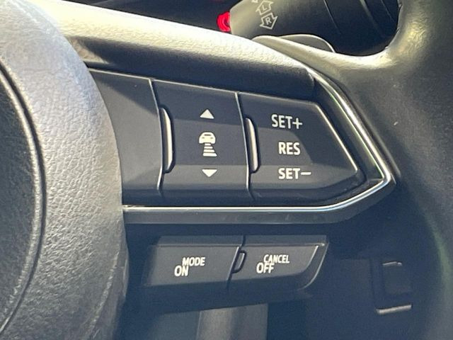 �y�}�c�_�E���[�_�[�N���[�Y�R���g���[���z�������H�ł̒��������s���y��!�����ő��x��ۂN���[�Y�R���g���[�����A�Փˌy���V�X�e���ƘA�g���A�O���̎ԗ������m���ĎԊԂ�ۂ悤�ɑ��x���߂��Ă���܂�!!