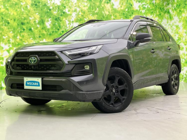 RAV42.5 ハイブリッド アドベンチャー オフロードパッケージ II E-Four 4WD