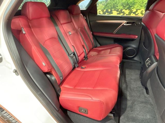 �㕔���Ȃ��C�ɂȂ�悤�ȃL�Y�E�����ւ��蓙�A�傫�ȃ_���[�W�͂Ȃ��A�ǍD�ȏ�Ԃł��B