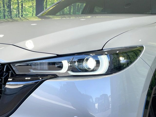 �w�b�h���C�g��e�[�������v&�A���~�z�C�[�����̊e��R�[�e�B���O���I�X�X�����Ă���܂��B�����Y�����̉��΂݂≘���}���A���ꂢ�ȏ�Ԃ������e�i���X���X�ŕۂĂ܂���