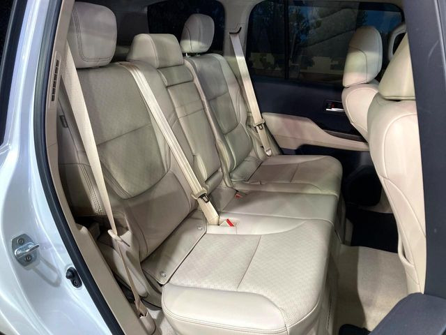 �㕔���Ȃ��C�ɂȂ�悤�ȃL�Y�E�����ւ��蓙�A�傫�ȃ_���[�W�͂Ȃ��A�ǍD�ȏ�Ԃł��B