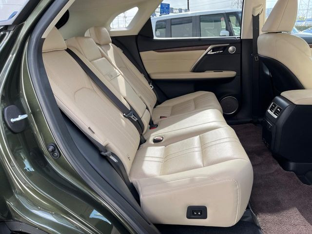 �㕔���Ȃ��C�ɂȂ�悤�ȃL�Y�E�����ւ��蓙�A�傫�ȃ_���[�W�͂Ȃ��A�ǍD�ȏ�Ԃł��B