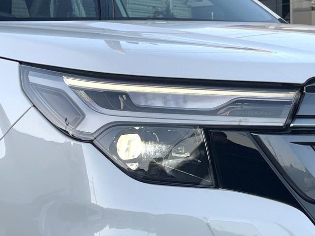 �w�b�h���C�g��e�[�������v&�A���~�z�C�[�����̊e��R�[�e�B���O���I�X�X�����Ă���܂��B�����Y�����̉��΂݂≘���}���A���ꂢ�ȏ�Ԃ������e�i���X���X�ŕۂĂ܂���