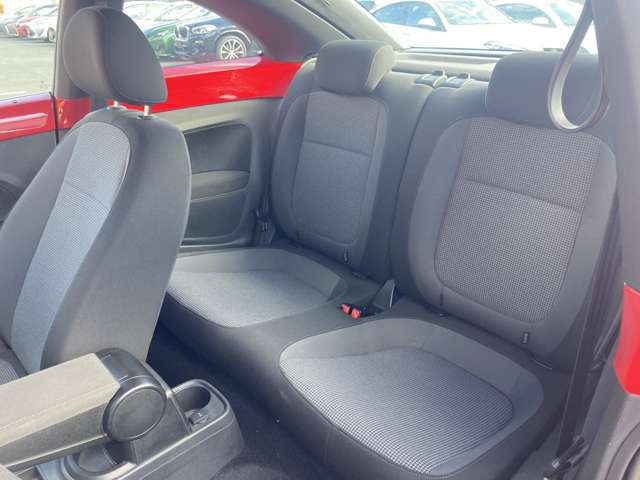 �^�]�ȑ��̌㕔���Ȃ̎ʐ^�ł�!!