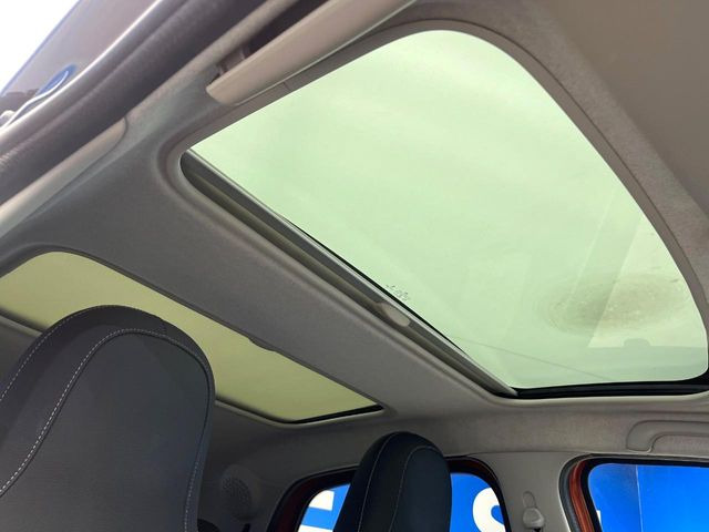 ���p�m���}�~�b�N�K���X���[�t:�唗�͂̃p�m���}���[�t�́A�㕔���Ȃɂ܂ő����Ă���A�J���I�ȋ�Ԃ����y���݂��������܂��B