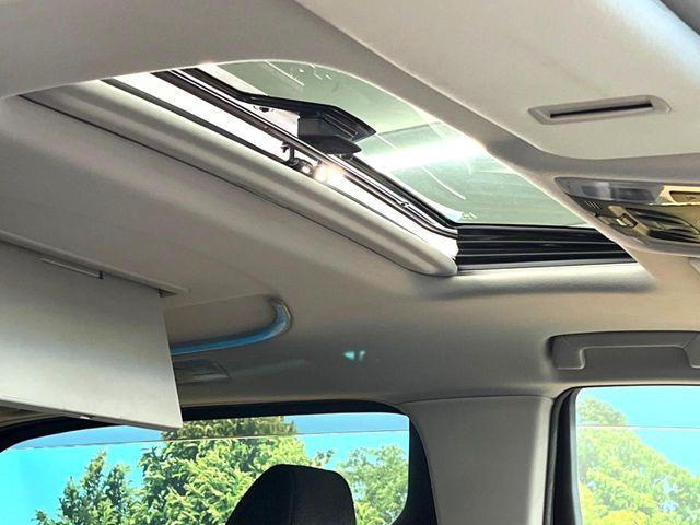 �y�T�����[�t�z�J���������Ղ�̊󏭑����A�T�����[�t����������Ă��܂�!�ԓ��ɖ�����������ꂽ��i�F���y���ވȊO�ɂ��A�ԓ��̋�C���ȒP�Ɋ��C�ł��ĉ��K�ł�!