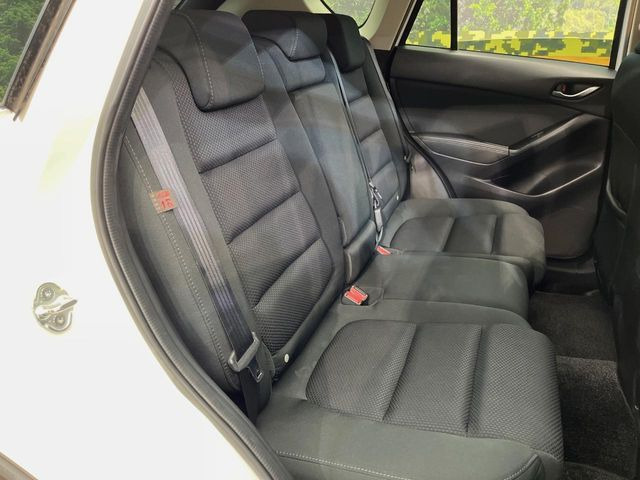 �㕔���Ȃ��C�ɂȂ�悤�ȃL�Y�E�����ւ��蓙�A�傫�ȃ_���[�W�͂Ȃ��A�ǍD�ȏ�Ԃł��B