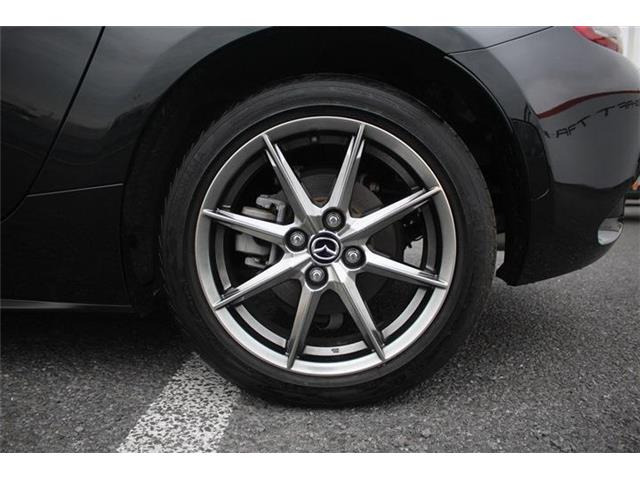 ���Ǝҗl�ւ̔̔��͂��f�肳���Ă��������܂��B �Ԍ������ԗ��̏ꍇ�́A�Ԍ����擾�������x�������z�ŕ\�����Ă���܂��B