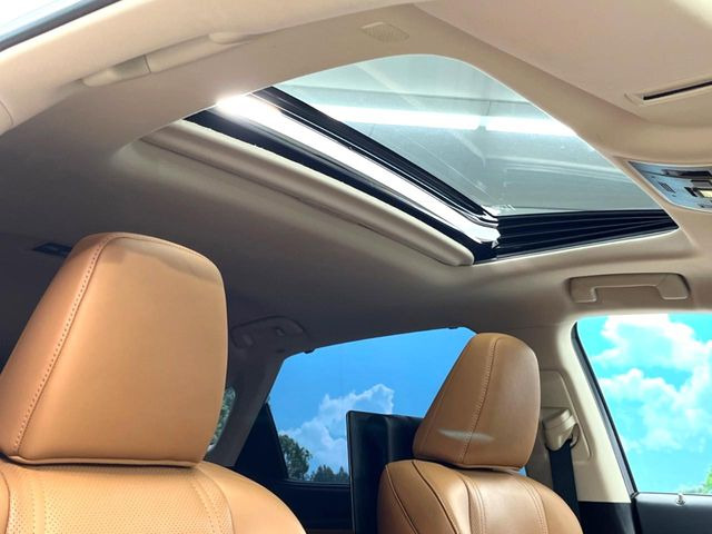 �y�T�����[�t�z�J���������Ղ�̊󏭑����A�T�����[�t����������Ă��܂�!�ԓ��ɖ�����������ꂽ��i�F���y���ވȊO�ɂ��A�ԓ��̋�C���ȒP�Ɋ��C�ł��ĉ��K�ł�!