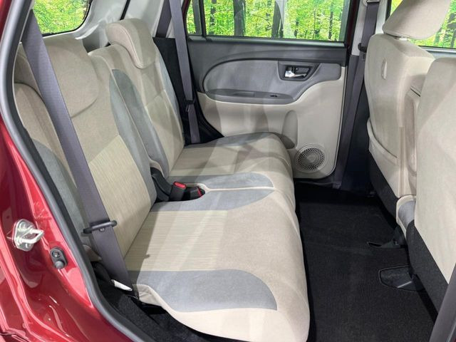 �㕔���Ȃ��C�ɂȂ�悤�ȃL�Y�E�����ւ��蓙�A�傫�ȃ_���[�W�͂Ȃ��A�ǍD�ȏ�Ԃł��B