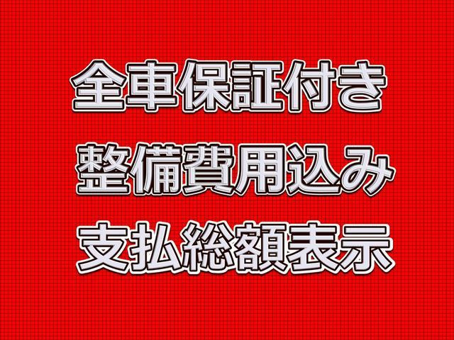 ハスラータフワイルド