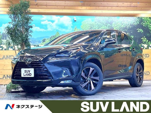 NX（レクサス）300 ブロンズ エディション　特別仕様車 中古車画像