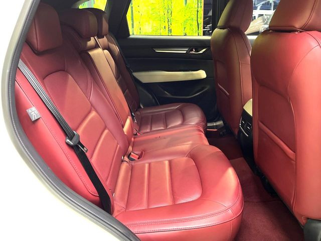 �㕔���Ȃ��C�ɂȂ�悤�ȃL�Y�E�����ւ��蓙�A�傫�ȃ_���[�W�͂Ȃ��A�ǍD�ȏ�Ԃł��B