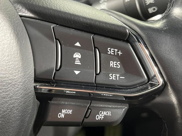 �y�}�c�_�E���[�_�[�N���[�Y�R���g���[���z�������H�ł̒��������s���y��!�����ő��x��ۂN���[�Y�R���g���[�����A�Փˌy���V�X�e���ƘA�g���A�O���̎ԗ������m���ĎԊԂ�ۂ悤�ɑ��x���߂��Ă���܂�!!