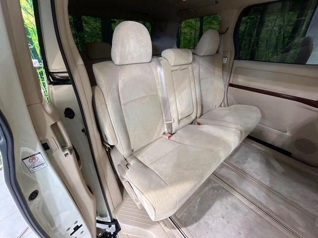 �㕔���Ȃ��C�ɂȂ�悤�ȃL�Y�E�����ւ��蓙�A�傫�ȃ_���[�W�͂Ȃ��A�ǍD�ȏ�Ԃł��B