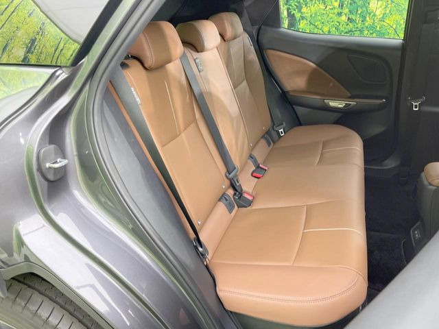 �㕔���Ȃ��C�ɂȂ�悤�ȃL�Y�E�����ւ��蓙�A�傫�ȃ_���[�W�͂Ȃ��A�ǍD�ȏ�Ԃł��B