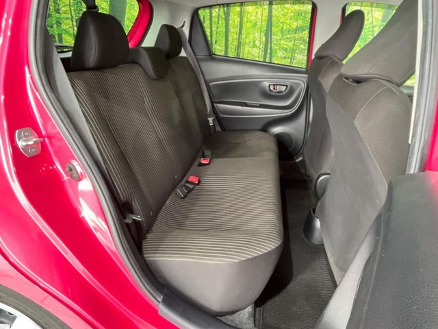 �㕔���Ȃ��C�ɂȂ�悤�ȃL�Y�E�����ւ��蓙�A�傫�ȃ_���[�W�͂Ȃ��A�ǍD�ȏ�Ԃł��B