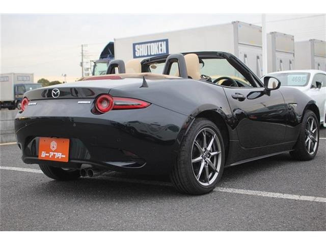 ���Ǝҗl�ւ̔̔��͂��f�肳���Ă��������܂��B �Ԍ������ԗ��̏ꍇ�́A�Ԍ����擾�������x�������z�ŕ\�����Ă���܂��B