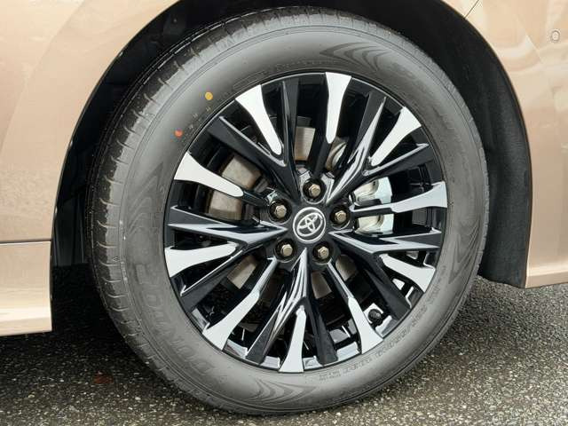 �y�I�v�V�����z�؍���P+�u���b�N�h��19�C���`�A���~�z�C�[��