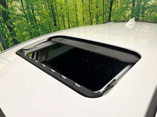 �y�T�����[�t�z�J���������Ղ�̊󏭑����A�T�����[�t����������Ă��܂�!�ԓ��ɖ�����������ꂽ��i�F���y���ވȊO�ɂ��A�ԓ��̋�C���ȒP�Ɋ��C�ł��ĉ��K�ł�!