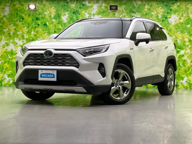 RAV42.5 ハイブリッド G E-Four 4WD