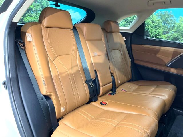 �㕔���Ȃ��C�ɂȂ�悤�ȃL�Y�E�����ւ��蓙�A�傫�ȃ_���[�W�͂Ȃ��A�ǍD�ȏ�Ԃł��B