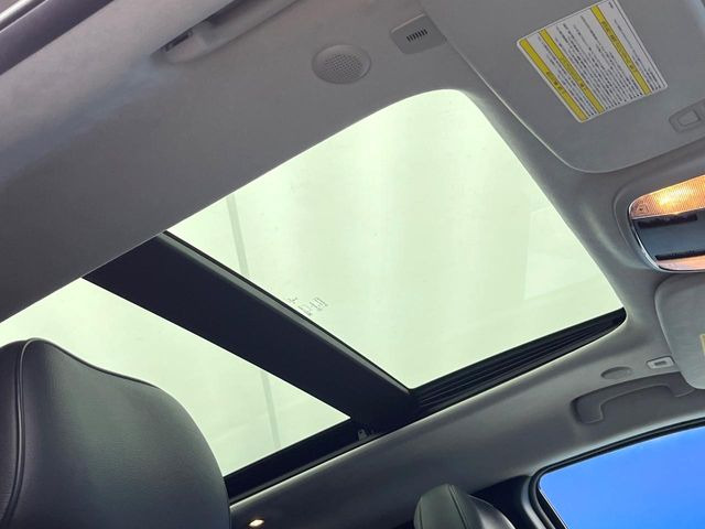 ���p�m���}�~�b�N�K���X���[�t:�唗�͂̃p�m���}���[�t�́A�㕔���Ȃɂ܂ő����Ă���A�J���I�ȋ�Ԃ����y���݂��������܂��B