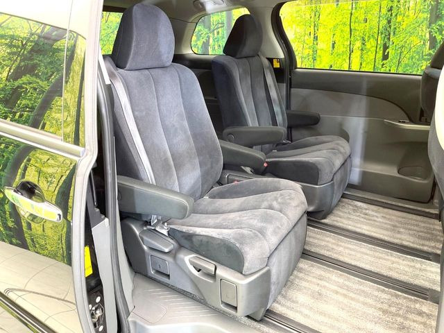 �㕔���Ȃ��C�ɂȂ�悤�ȃL�Y�E�����ւ��蓙�A�傫�ȃ_���[�W�͂Ȃ��A�ǍD�ȏ�Ԃł��B