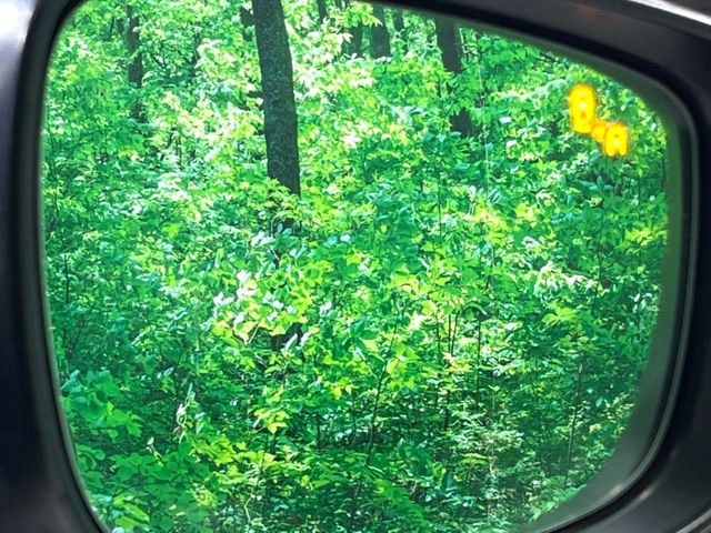 �y�u���C���h�X�|�b�g���j�^�����O�z���s���A�h�A�~���[�̎��p�ɂȂ�₷���ӏ��Ɍ㑱�Ԃ��ڋ߂���ƃT�C�h�~���[�t�߂Ɍx����\���A�h���C�o�[�ɒ��ӊ��N�����Ă���܂��B