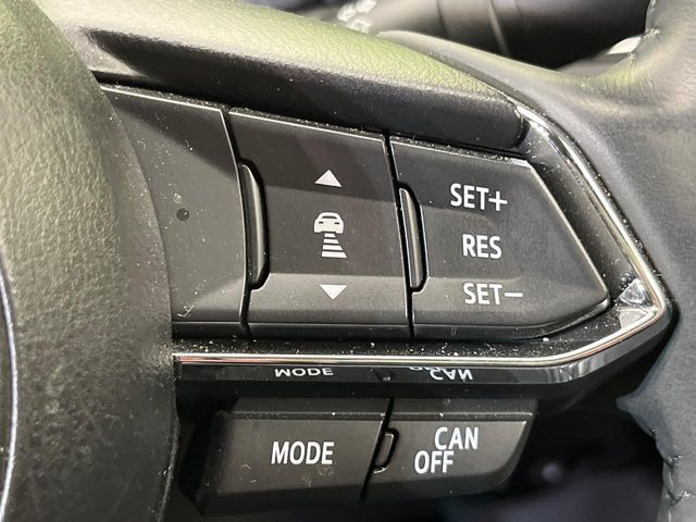 �y�}�c�_�E���[�_�[�N���[�Y�R���g���[���z�������H�ł̒��������s���y��!�����ő��x��ۂN���[�Y�R���g���[�����A�Փˌy���V�X�e���ƘA�g���A�O���̎ԗ������m���ĎԊԂ�ۂ悤�ɑ��x���߂��Ă���܂�!!