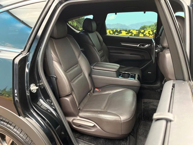 �㕔���Ȃ��C�ɂȂ�悤�ȃL�Y�E�����ւ��蓙�A�傫�ȃ_���[�W�͂Ȃ��A�ǍD�ȏ�Ԃł��B