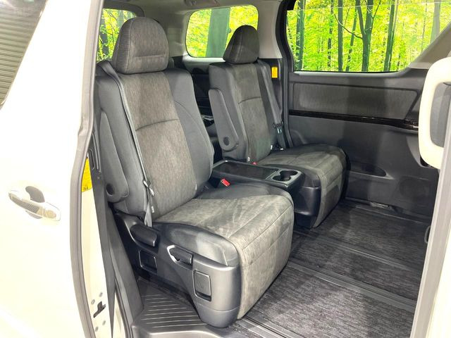 �㕔���Ȃ��C�ɂȂ�悤�ȃL�Y�E�����ւ��蓙�A�傫�ȃ_���[�W�͂Ȃ��A�ǍD�ȏ�Ԃł��B