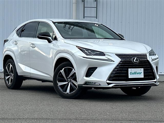 NX300 スパイス&amp;シック