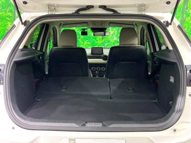 �㕔���Ȃ��C�ɂȂ�悤�ȃL�Y�E�����ւ��蓙�A�傫�ȃ_���[�W�͂Ȃ��A�ǍD�ȏ�Ԃł��B