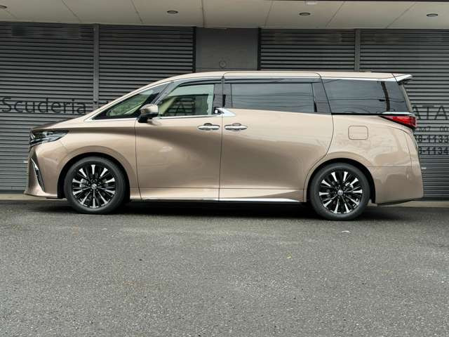 �y�g���^�Z�[�t�e�B�[�Z���X�z�v���N���b�V���Z�[�t�e�B�[�E���[�_�[�N���[�Y�E���[���L�[�v�A�V�X�g�E���[���`�F���W�A�V�X�g(�T�C�h�u���C���h�X�|�b�g)