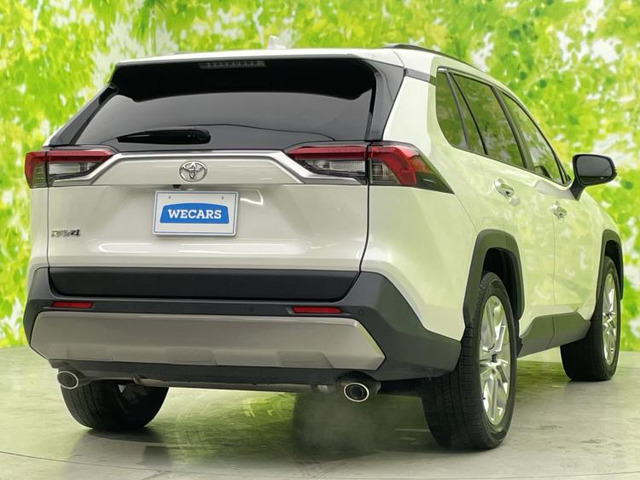 RAV42.0 G Zパッケージ 4WD