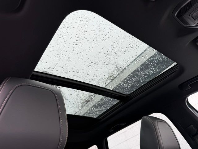 ���p�m���}�~�b�N�K���X���[�t:�唗�͂̃p�m���}���[�t�́A�㕔���Ȃɂ܂ő����Ă���A�J���I�ȋ�Ԃ����y���݂��������܂��B