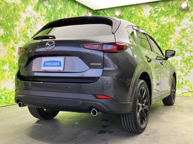 CX-52.2 XD ブラックトーンエディション