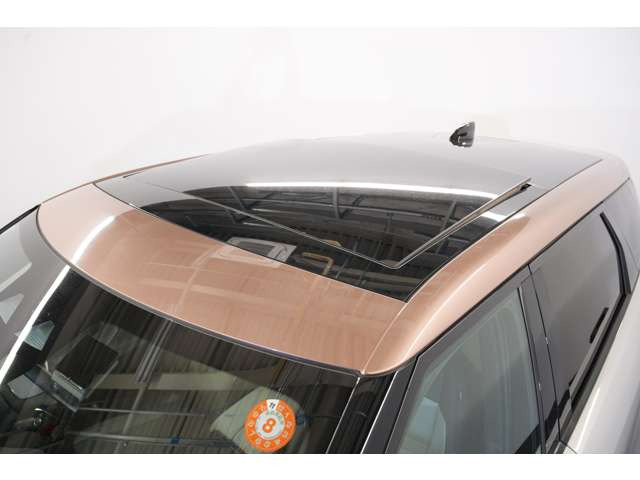 �܂��A�R�����V�A���u�����Y�̃R���g���X�g���[�t���C�{�[�O�̃X�^�C���b�V���ȃT�C�h�f�U�C�����������Ă���܂��B